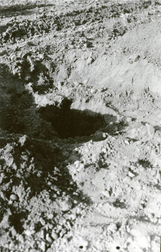 Hole for Date Palm Tree