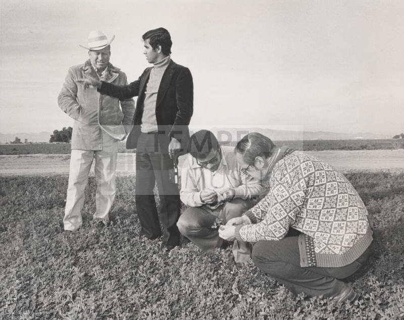 Lybian Vistors Inspect Arizona State University Farm Field