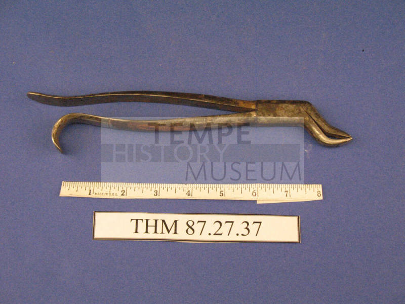 Forceps