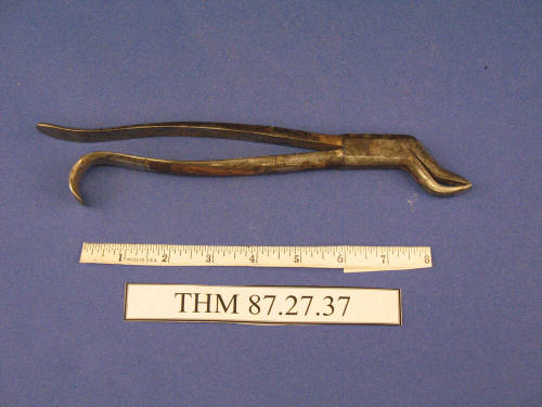 Forceps