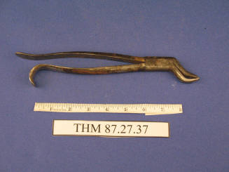 Forceps