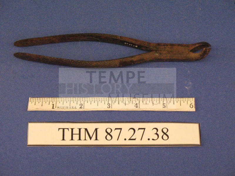 Forceps