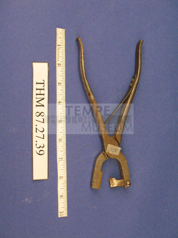 Animal Ear V-Cutter