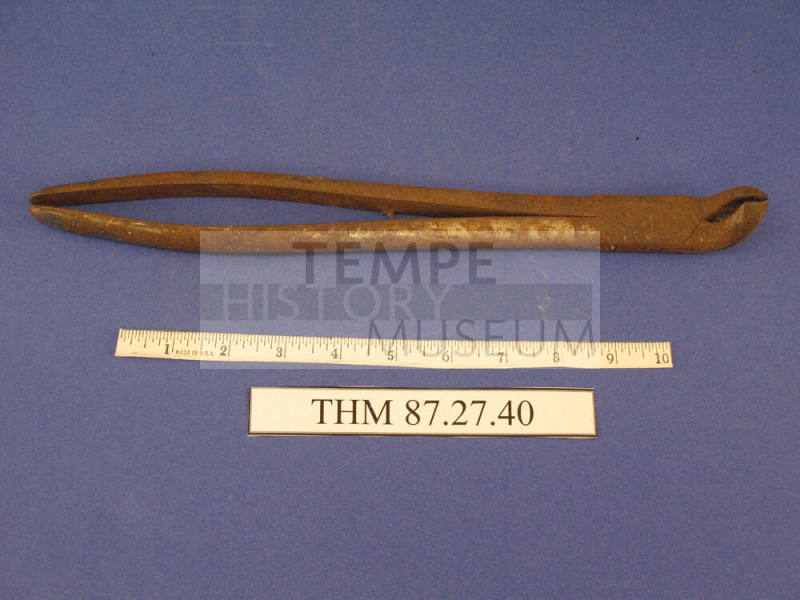 Forceps