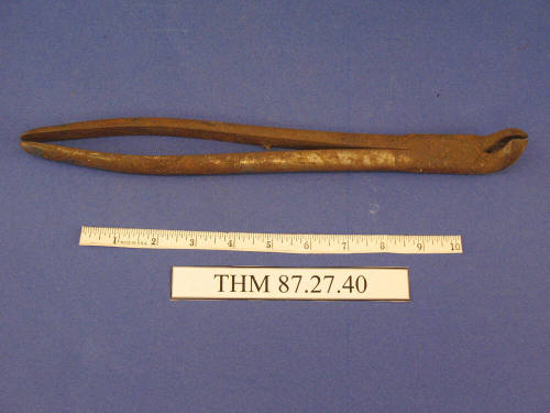 Forceps