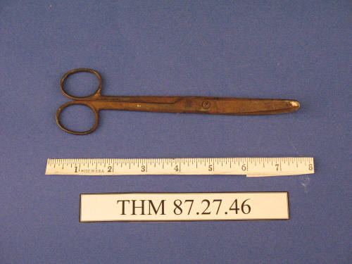 Curved Scissors