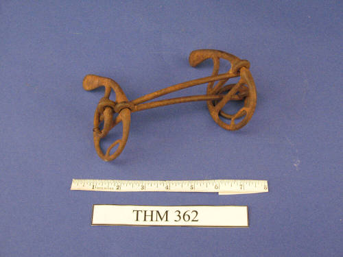 Bit, Horse