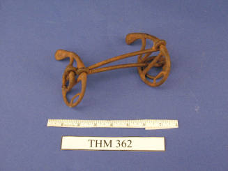 Bit, Horse