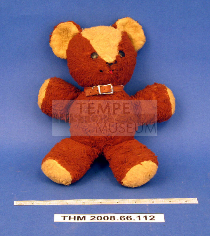 Teddy Bear
