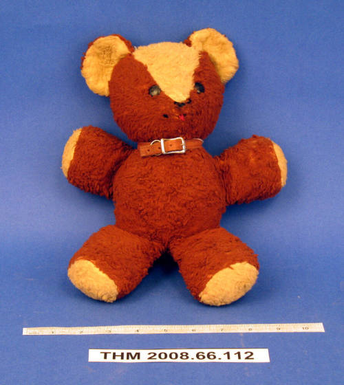 Teddy Bear