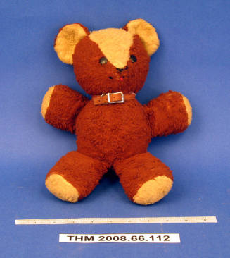 Teddy Bear