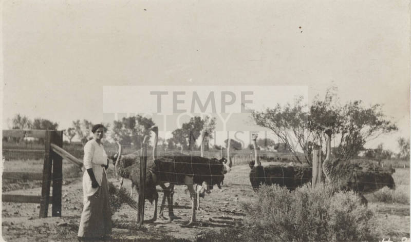 Estelle Craig Hackett at an Ostrich Farm