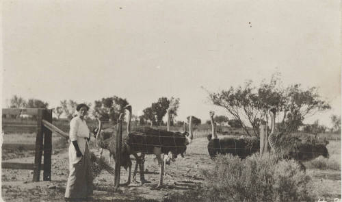 Estelle Craig Hackett at an Ostrich Farm