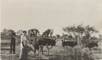 Estelle Craig Hackett at an Ostrich Farm