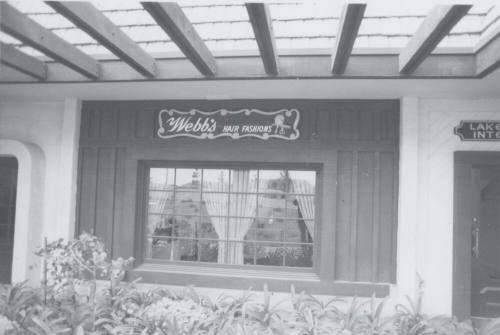 Webb's Hair Fashions - Suite G, 5450 South Lakeshore Drive, Tempe, Arizona