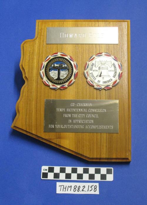 Bicentennial co-chair award to Howard Pyle