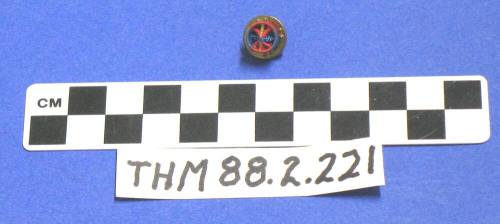 Red and blue cloth lapel pin