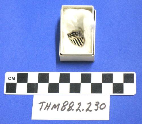 Tempe All American City lapel pin