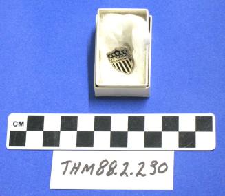 Tempe All American City lapel pin