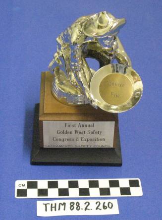 Golden West Safety Congress and Exposition Award:  Howard Pyle