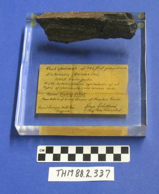 Rock specimen of the first geological era from Phantom Ranch Grand Canyon on a plastic base