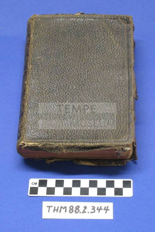 Howard Pyle's Bible, 1919