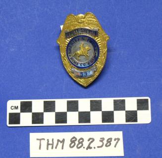 Deputy Sheriff's Badge:  Sheriff's Posse Pima Co., Arizona