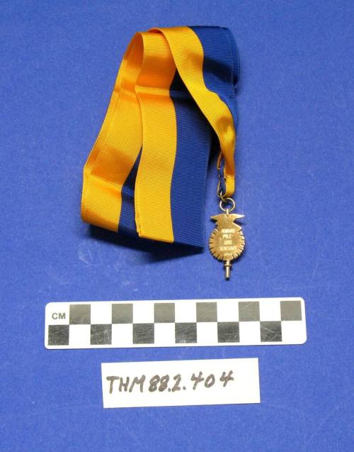 FFA Pendant on gold and blue ribbon