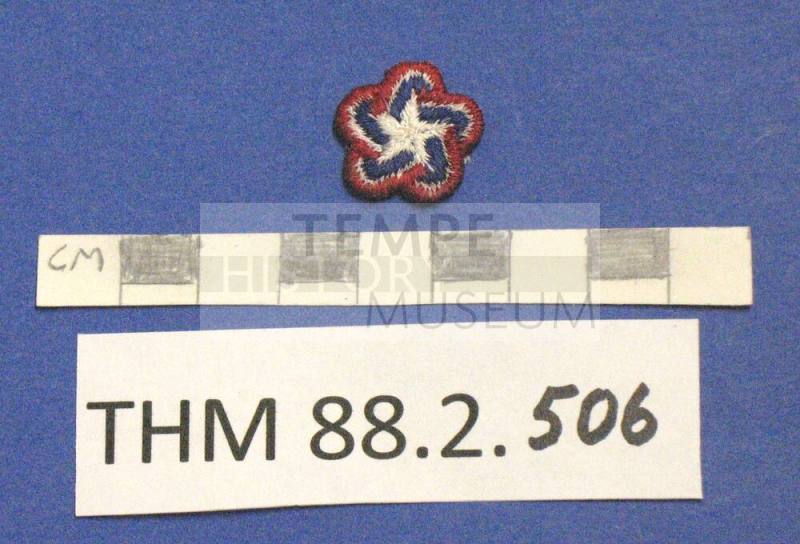 Bicentennial Patch