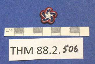 Bicentennial Patch