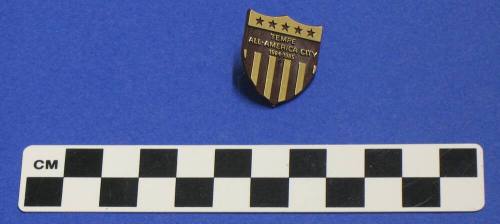 Tempe All America City, 1984-85