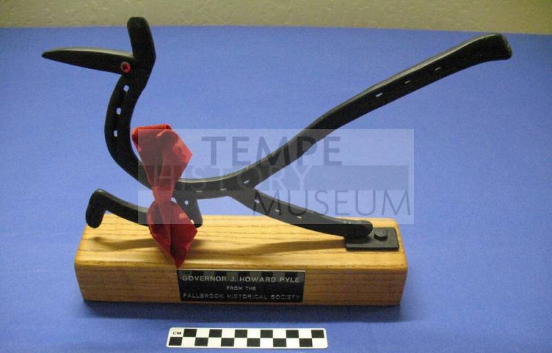Fallbrook Historical Society Roadrunner sculpture award