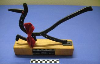 Fallbrook Historical Society Roadrunner sculpture award