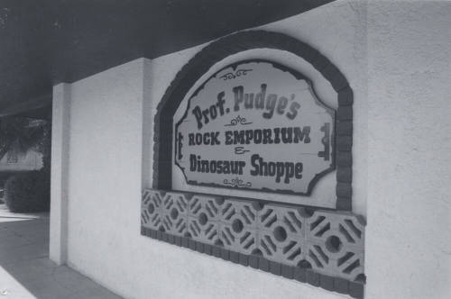 Prof. Pudge's Rock Emporium - 396 South Mill Avenue, Tempe, Arizona