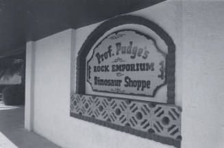 Prof. Pudge's Rock Emporium - 396 South Mill Avenue, Tempe, Arizona