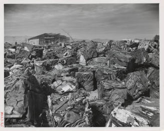 Tempe Steel Mill and Scrap Metal Yard