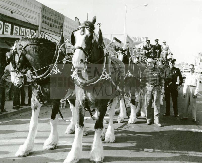Mill Avenue Parade:  Budweiser Wagon