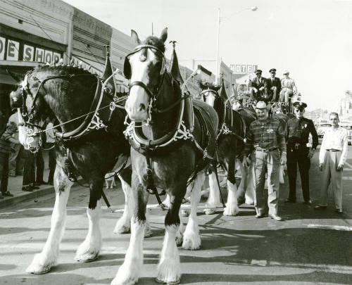 Mill Avenue Parade:  Budweiser Wagon