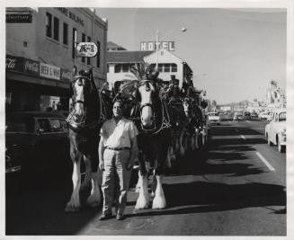 Mill Avenue Parade:  Budweiser Wagon