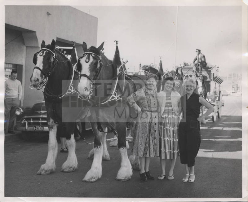 Mill Avenue Parade:  Budweiser Team & Wagon at Casa Loma