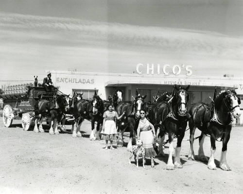 Mill Avenue Parade:  Budweiser Wagon at Chico's Restaurant