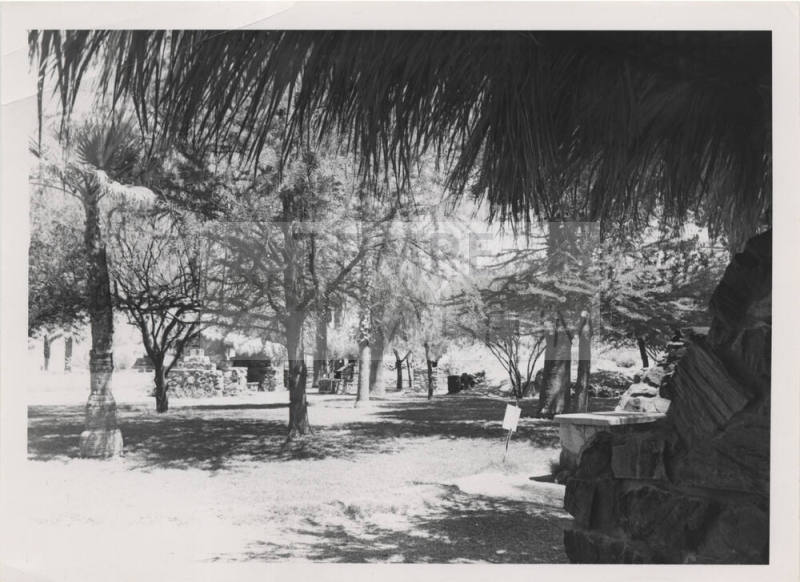 Tempe Bridge Picnic Areas