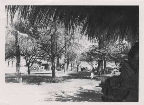 Tempe Bridge Picnic Areas