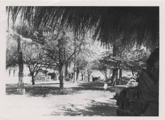 Tempe Bridge Picnic Areas