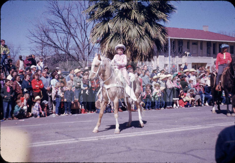 Phoenix Jaycees Rodeo Parade:  Youth on Palomino