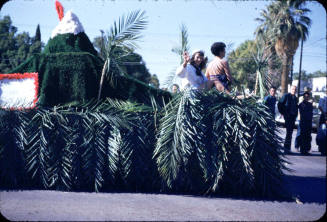 Parade:  Palm Frond Float - Mill Avenue, Tempe