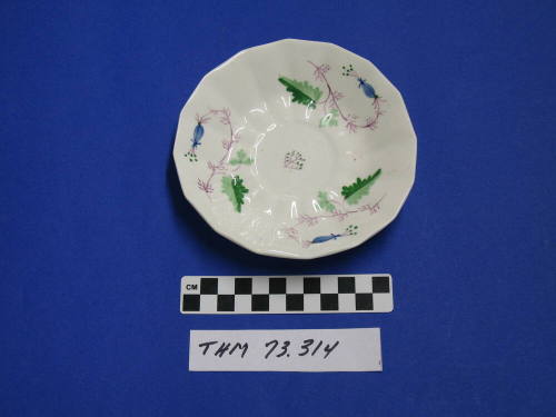 Saucer