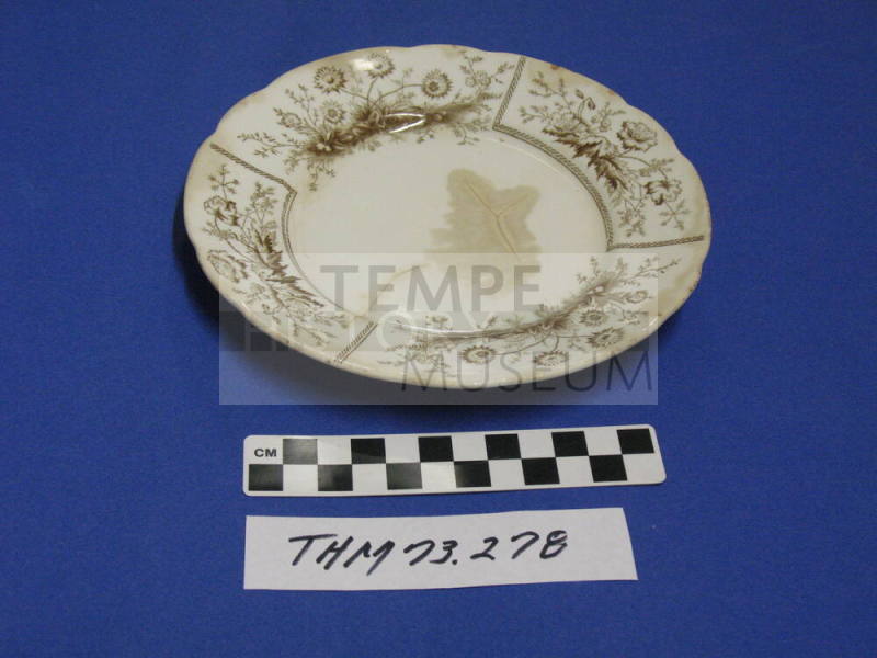 Saucer