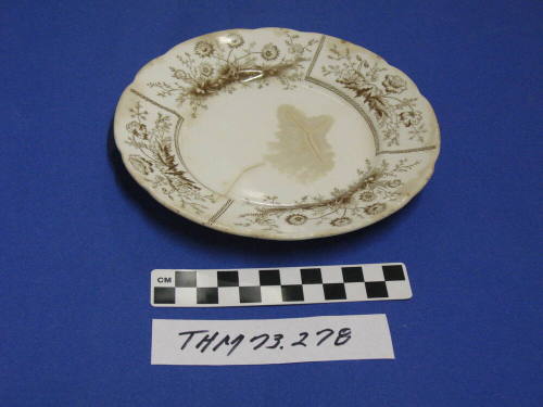Saucer