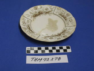 Saucer